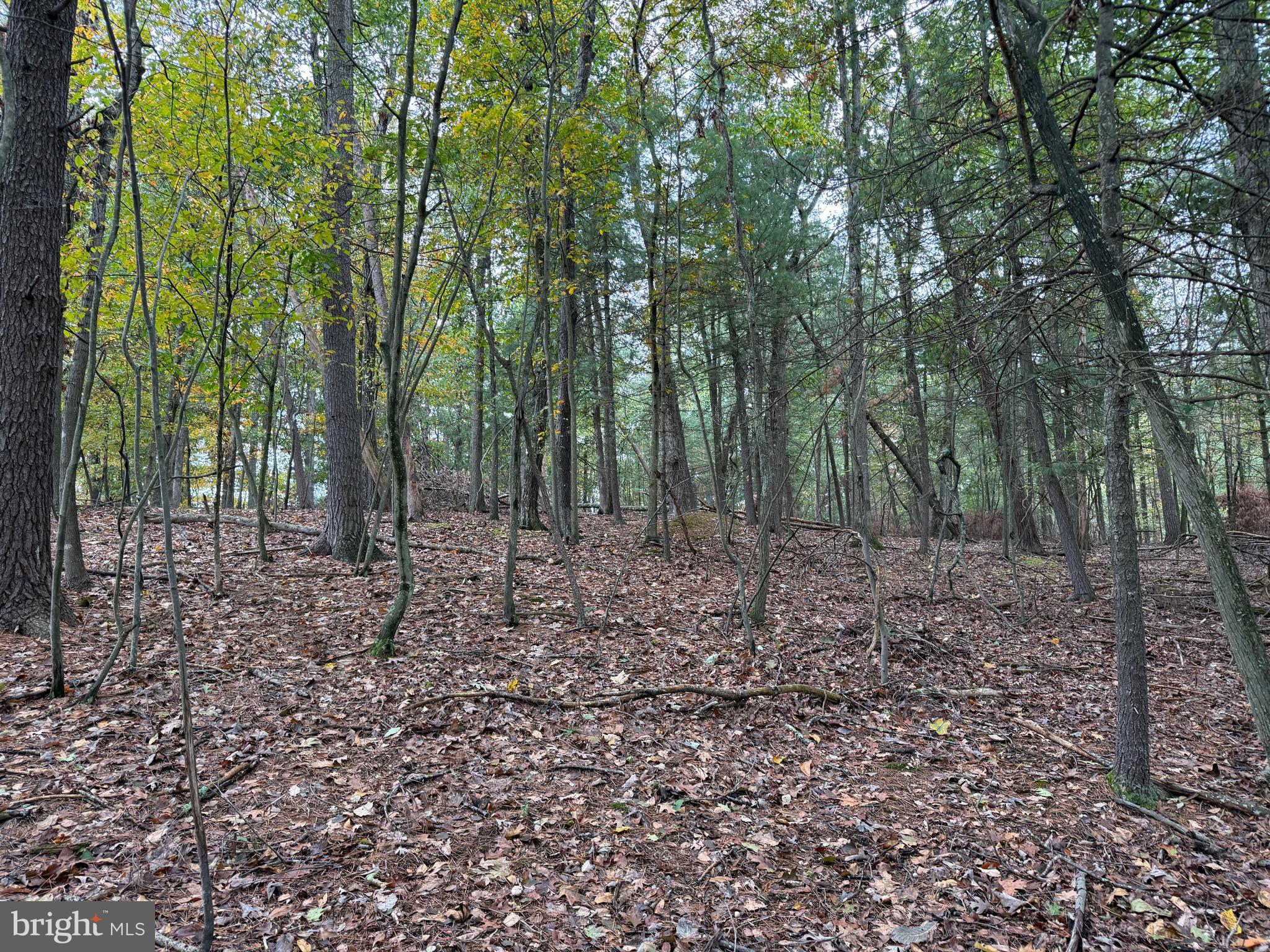 Fairview Drive Berkeley Springs, WV 25411 - Photo 18 of 22