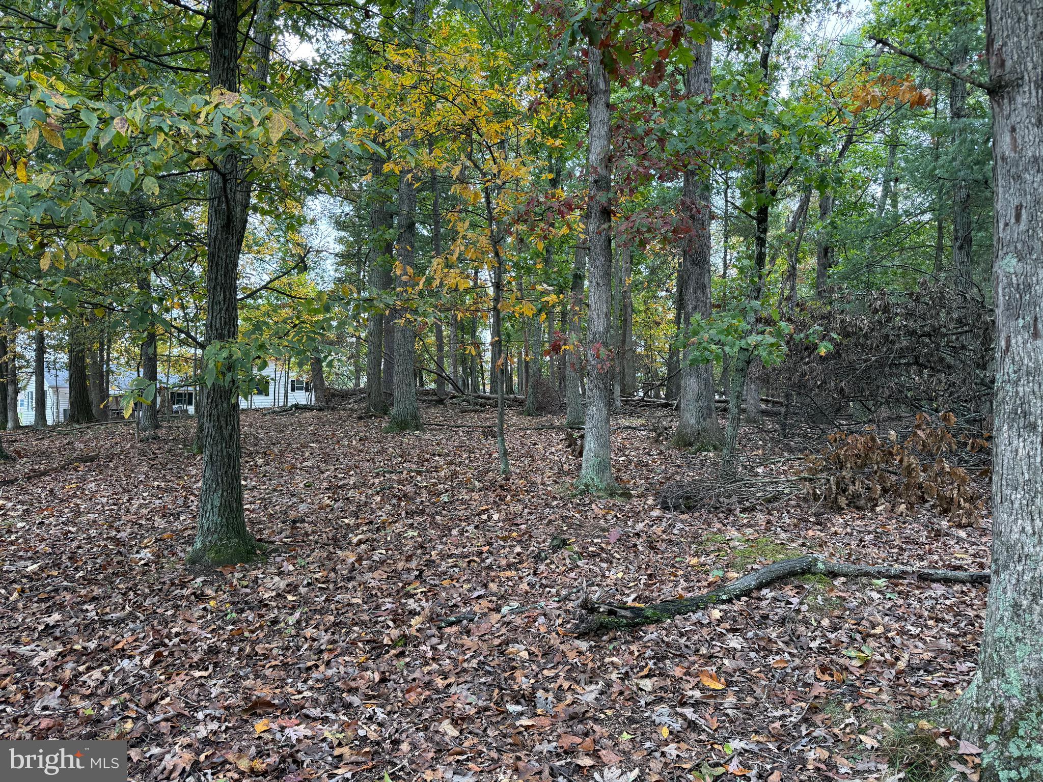 Fairview Drive Berkeley Springs, WV 25411 - Photo 19 of 22