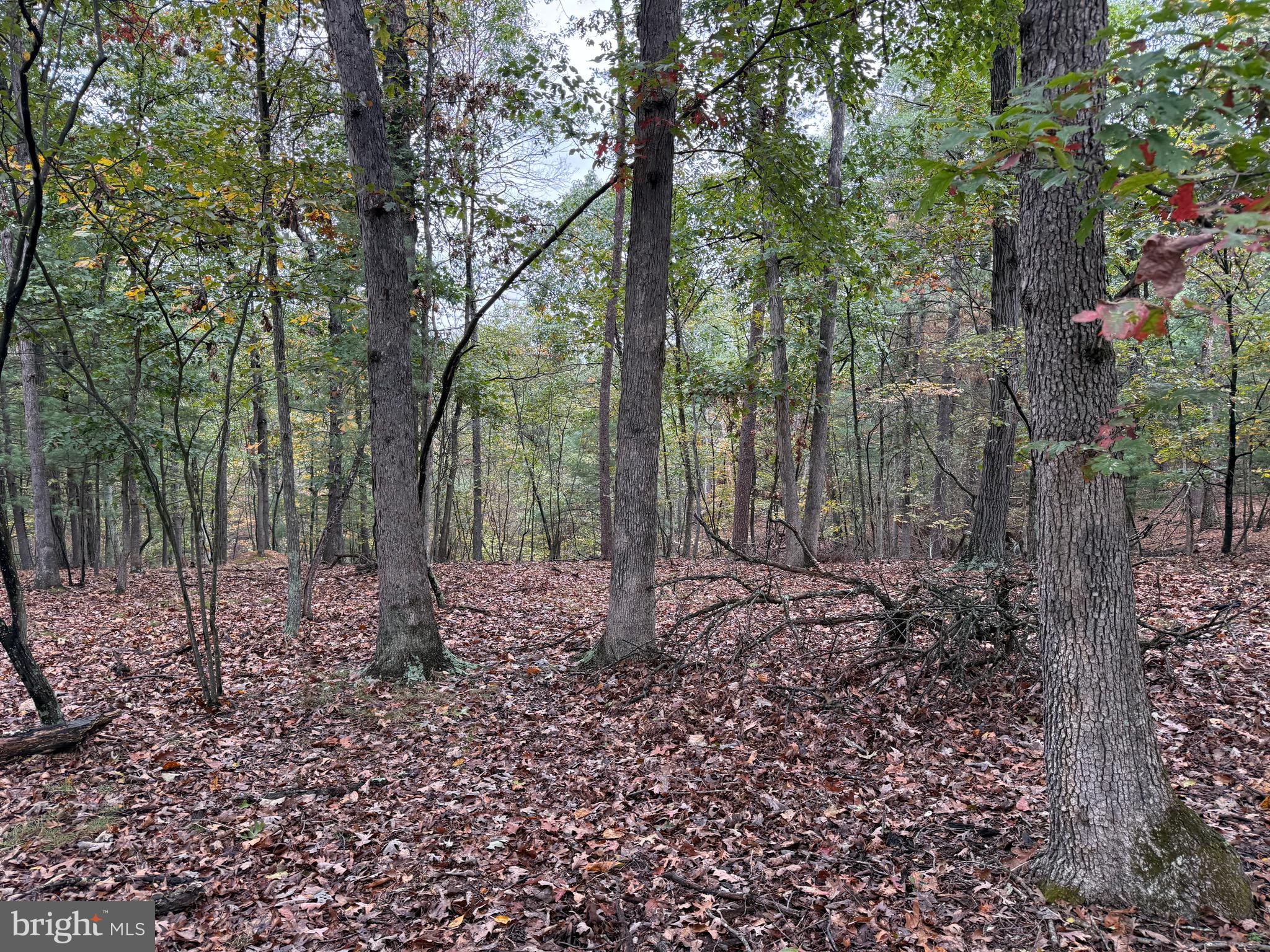 Fairview Drive Berkeley Springs, WV 25411 - Photo 20 of 22