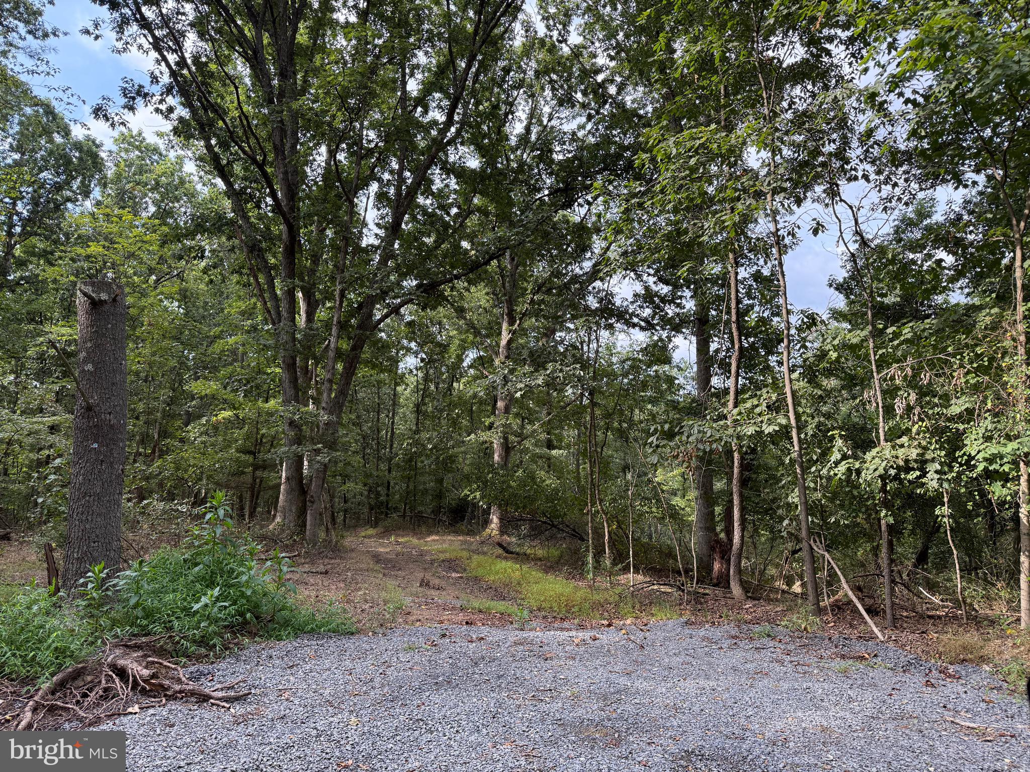 Fairview Drive Berkeley Springs, WV 25411 - Photo 2 of 22 Entrance