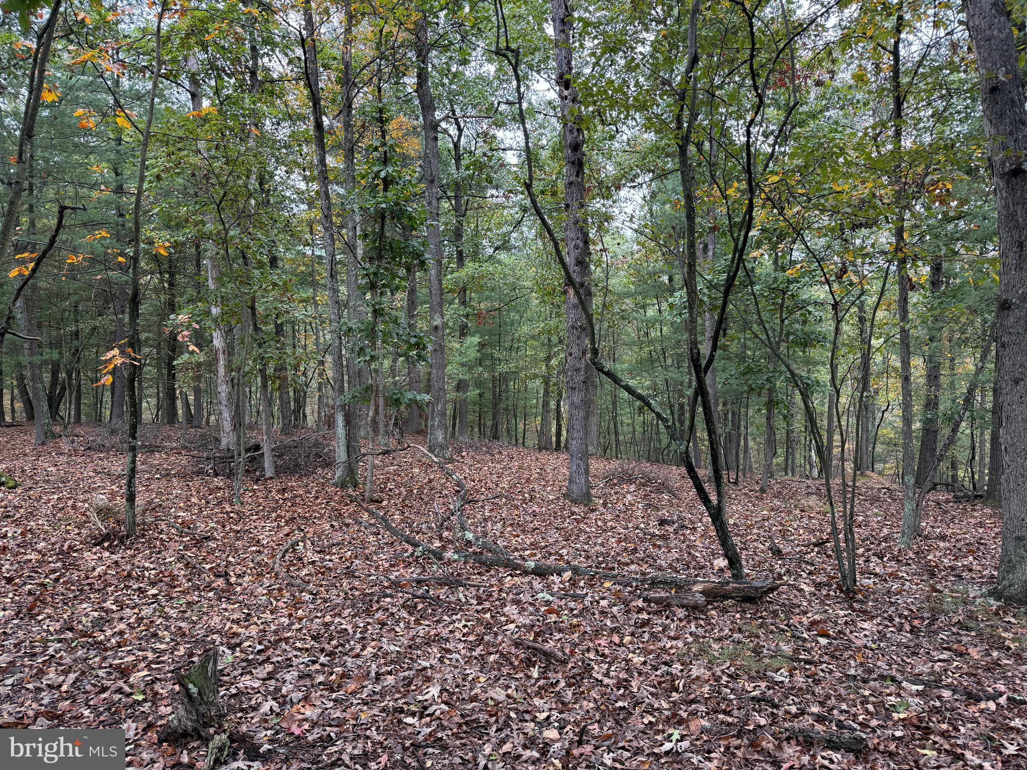 Fairview Drive Berkeley Springs, WV 25411 - Photo 21 of 22