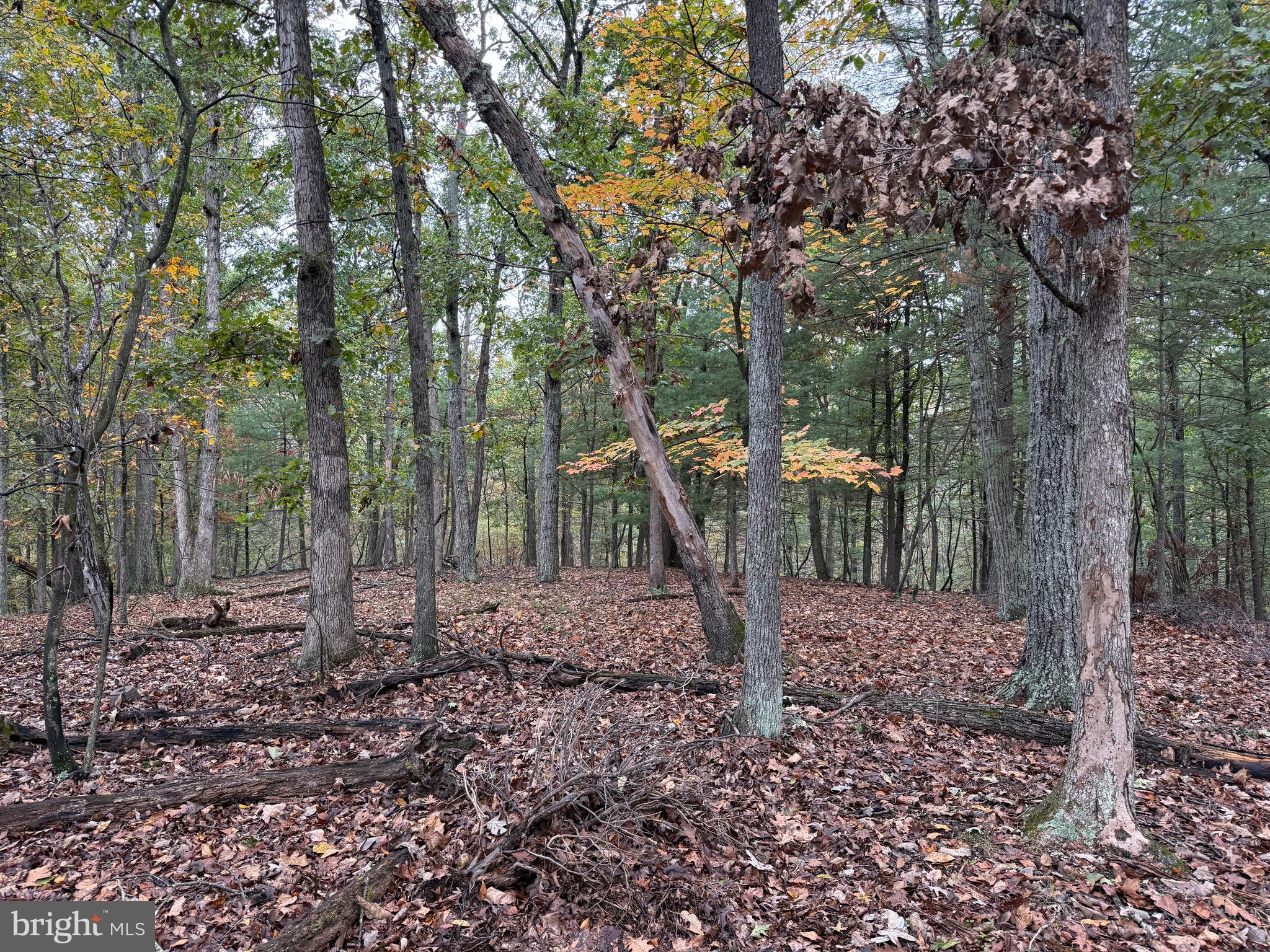 Fairview Drive Berkeley Springs, WV 25411 - Photo 22 of 22