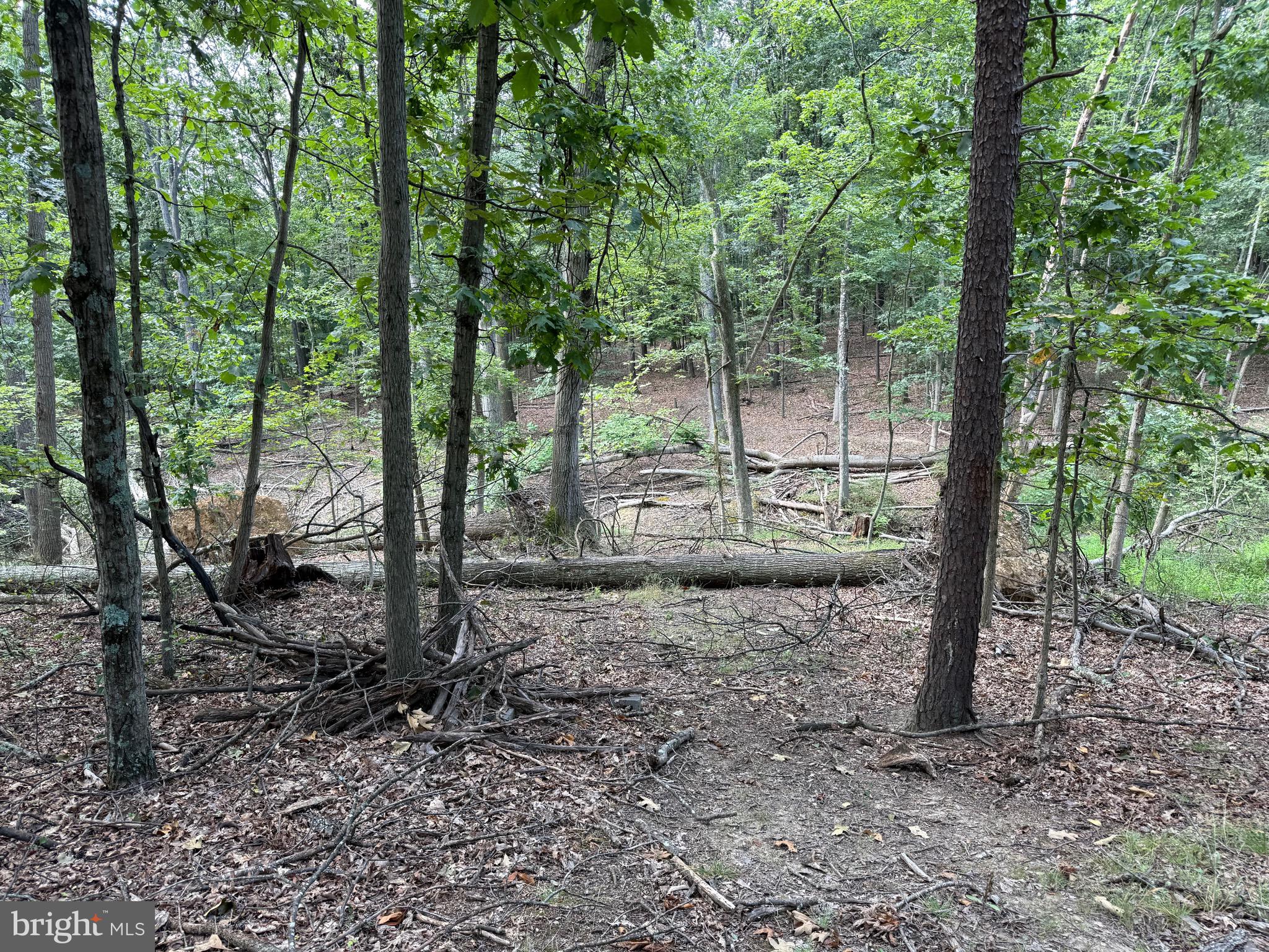 Fairview Drive Berkeley Springs, WV 25411 - Photo 4 of 22