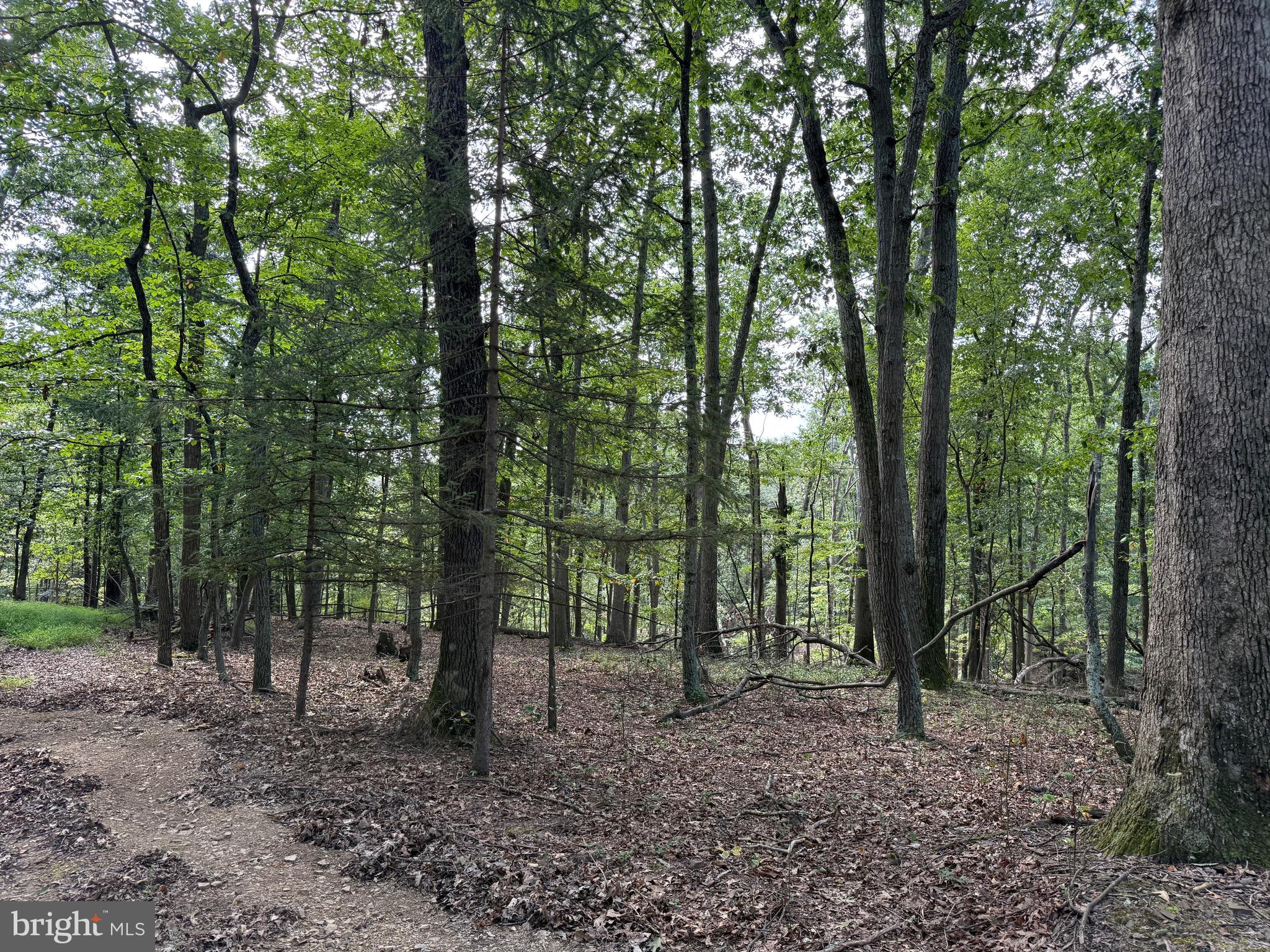 Fairview Drive Berkeley Springs, WV 25411 - Photo 6 of 22