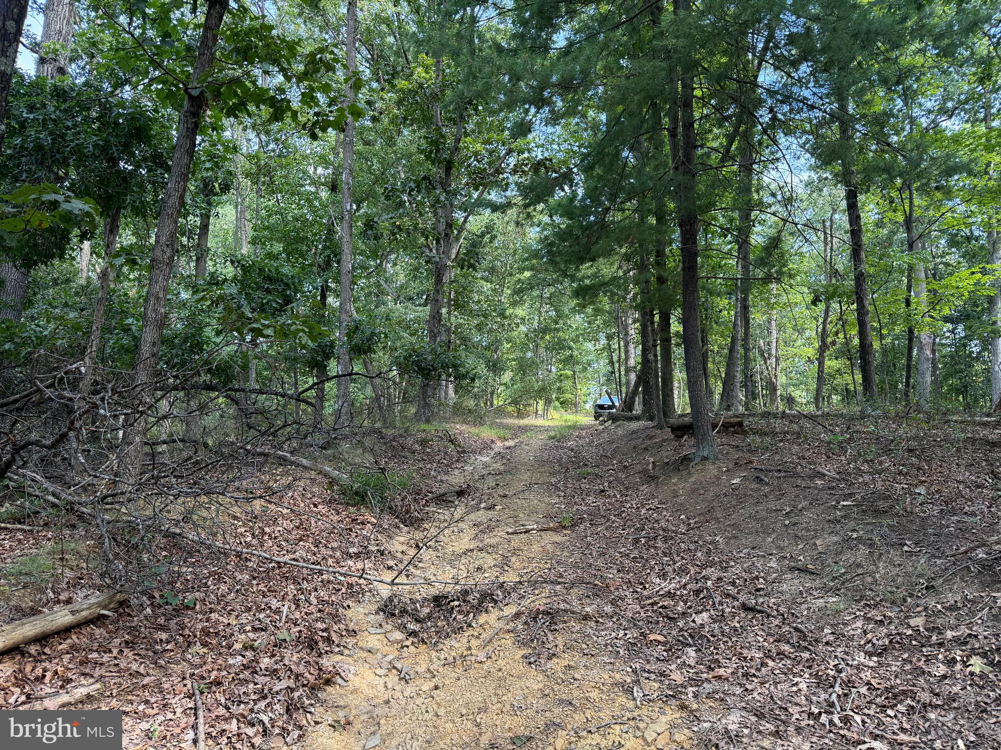 Fairview Drive Berkeley Springs, WV 25411 - Photo 7 of 22