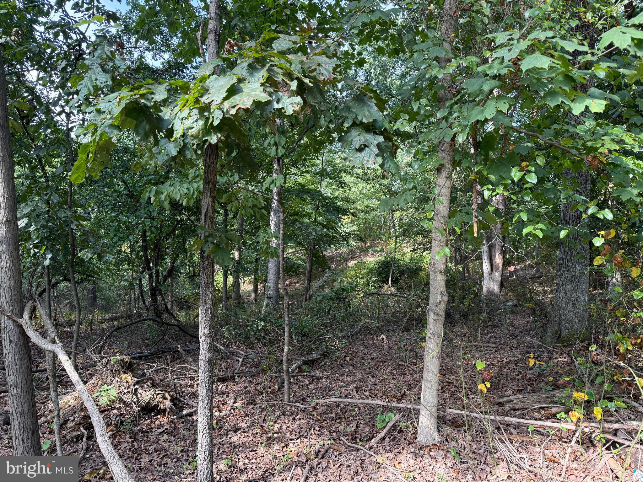 Fairview Drive Berkeley Springs, WV 25411 - Photo 8 of 22