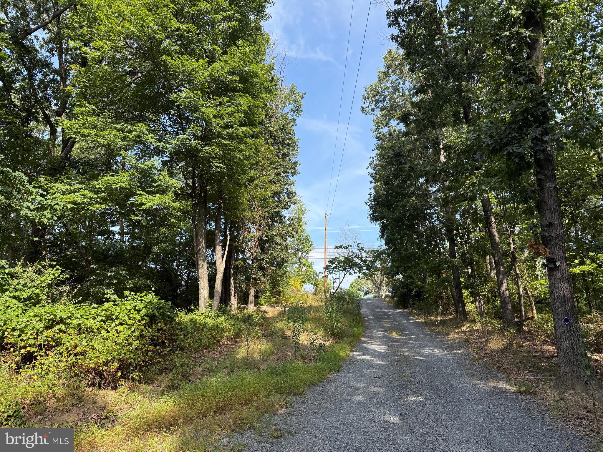 Fairview Drive Berkeley Springs, WV 25411 - Photo 9 of 22 Driveway entrance