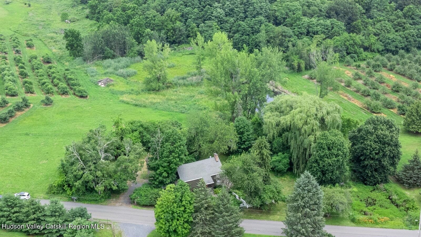 50 Conklin Hill Road Milton, NY 12547 - Photo 35 of 38 a view of a forest with a street