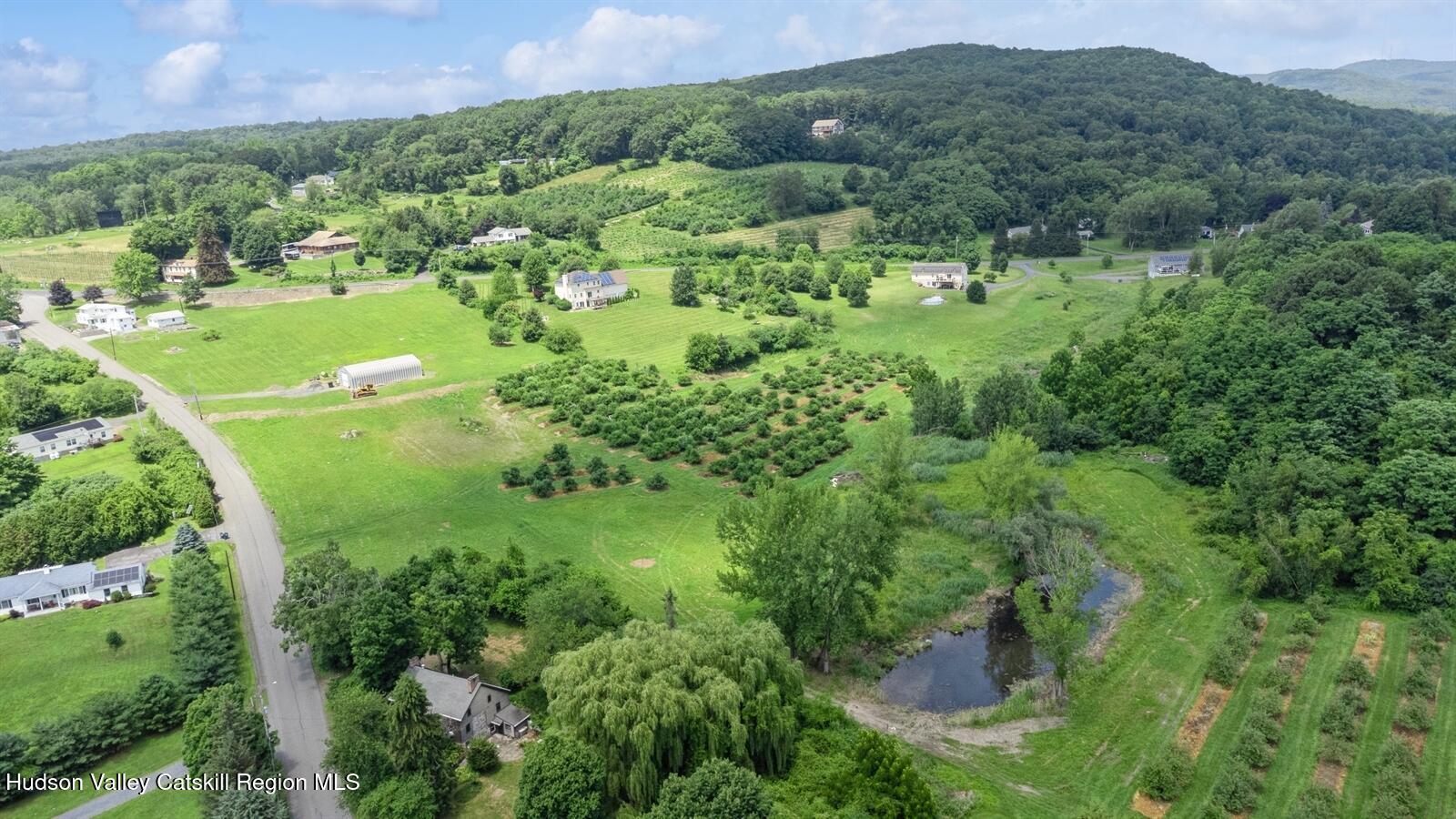 50 Conklin Hill Road Milton, NY 12547 - Photo 36 of 38 a view of a lush green forest with trees and some houses