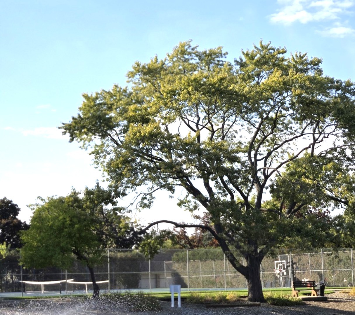 1117 South Old Wilke Road, Unit 206 Rolling Meadows, IL 60005 - Photo 6 of 6