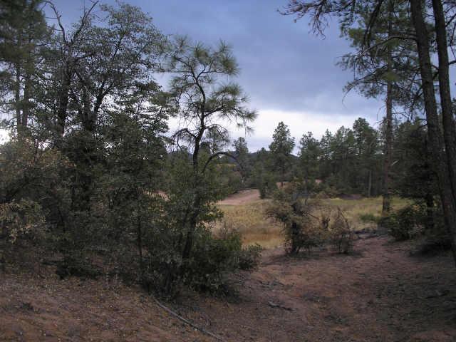 596 South Primeval, Unit 79 Payson, AZ 85541 - Photo 1 of 4 Primary Photo
