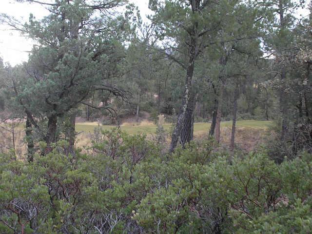 596 South Primeval, Unit 79 Payson, AZ 85541 - Photo 2 of 4 Additional Photo