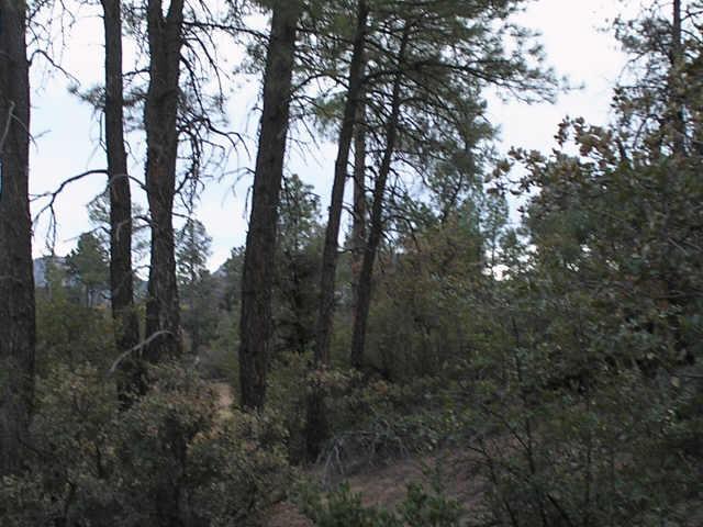 596 South Primeval, Unit 79 Payson, AZ 85541 - Photo 4 of 4 Additional Photo
