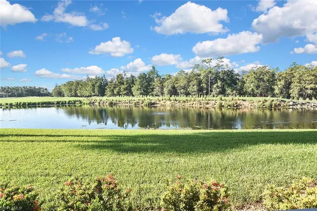 a view of a lake with palm trees