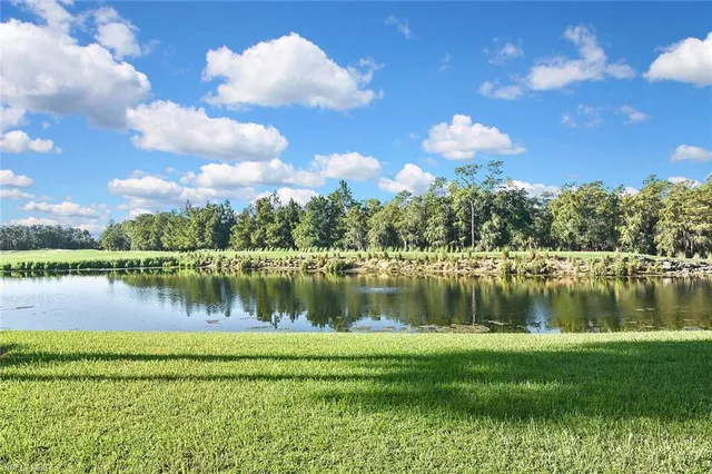 a view of a lake with a building in the background