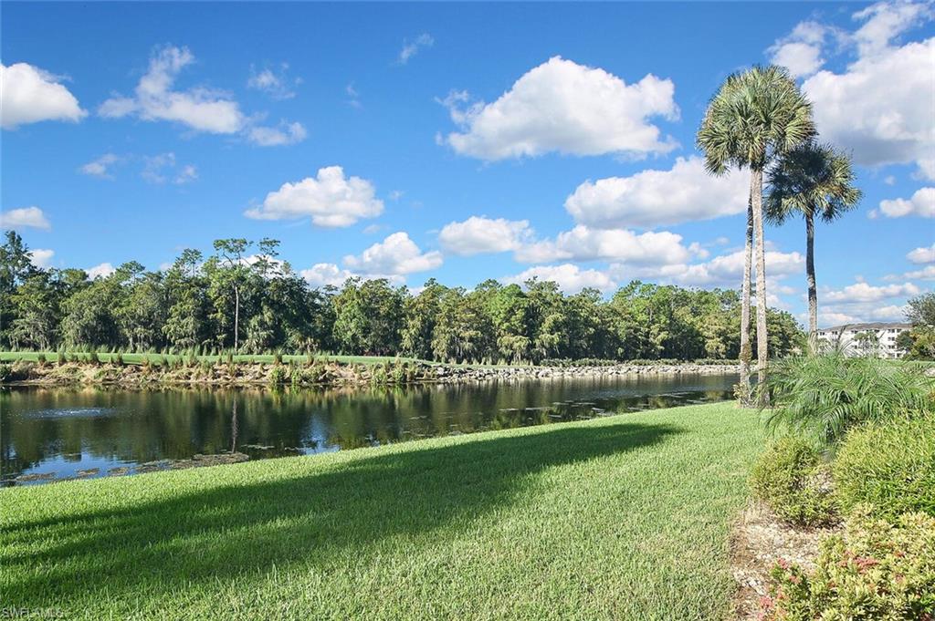 3830 Sawgrass Way, Unit 2914 Naples, FL 34112 - Photo 47 of 50 a view of a lake in between two of people