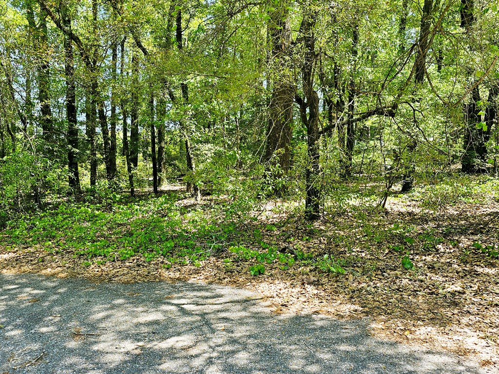 0 Reyes Strasse Ozark, AL 36360 - Photo 2 of 6