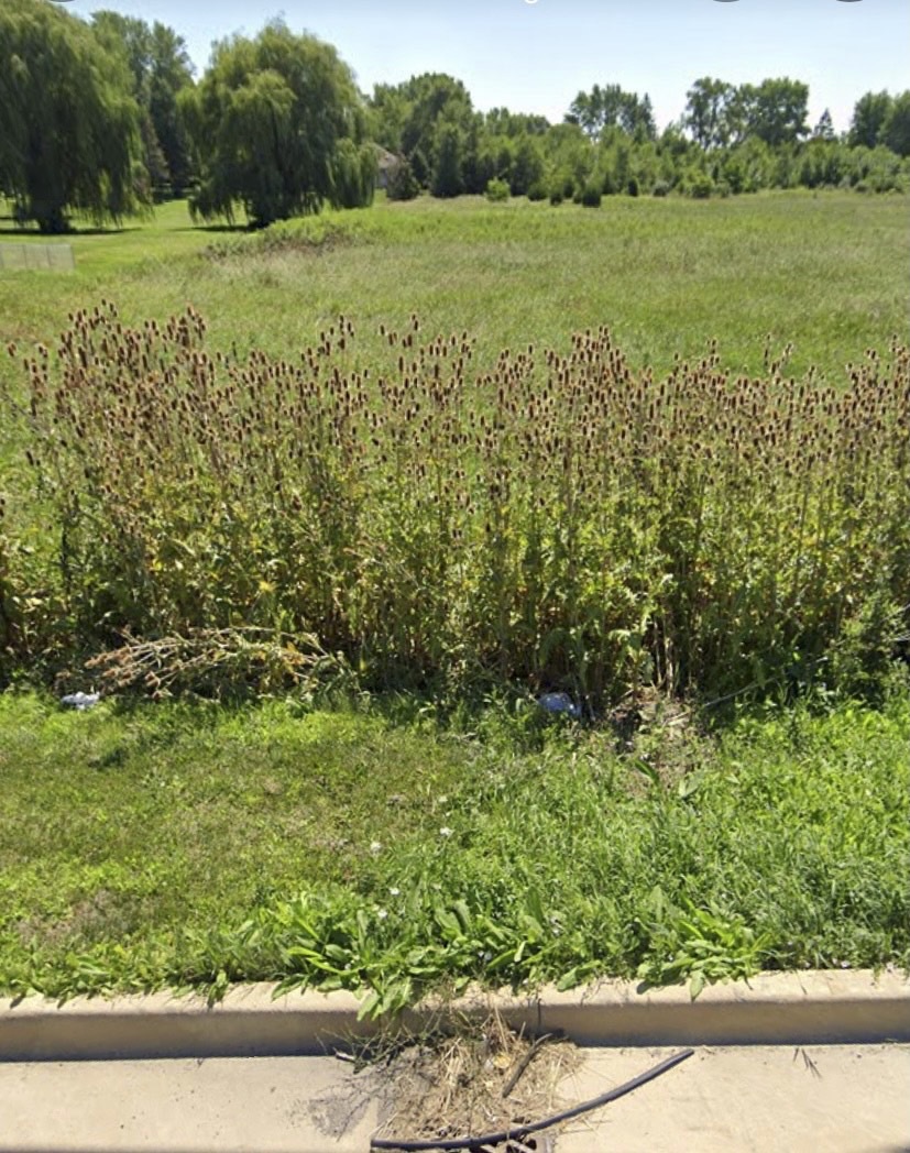 738 Crest Avenue Schaumburg, IL 60193 - Photo 2 of 4 a view of a lush green outdoor space with a lake view