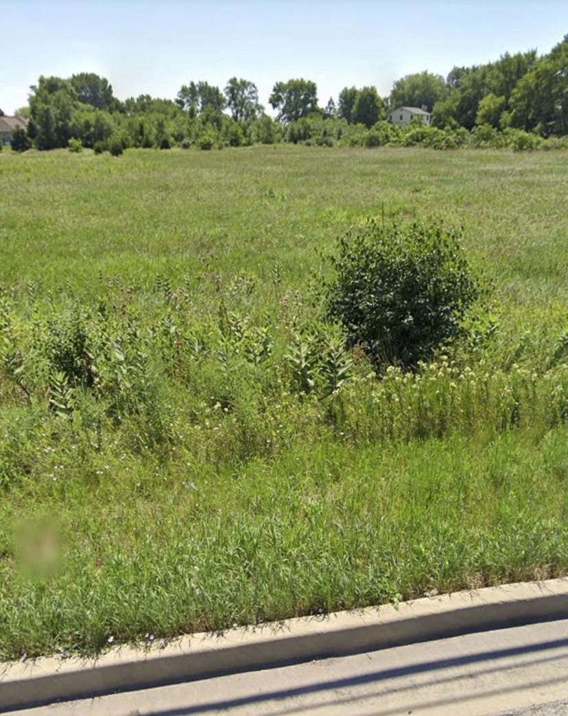 738 Crest Avenue Schaumburg, IL 60193 - Photo 3 of 4 a view of a lush green outdoor space with a lake view