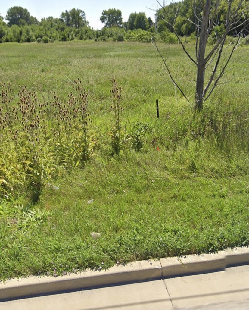738 Crest Avenue Schaumburg, IL 60193 - Photo 4 of 4 a view of a green yard with potted plants