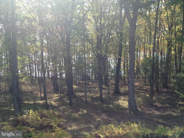 $1,049,000 | 1461 Shoreline Drive, Swanton, MD 21561