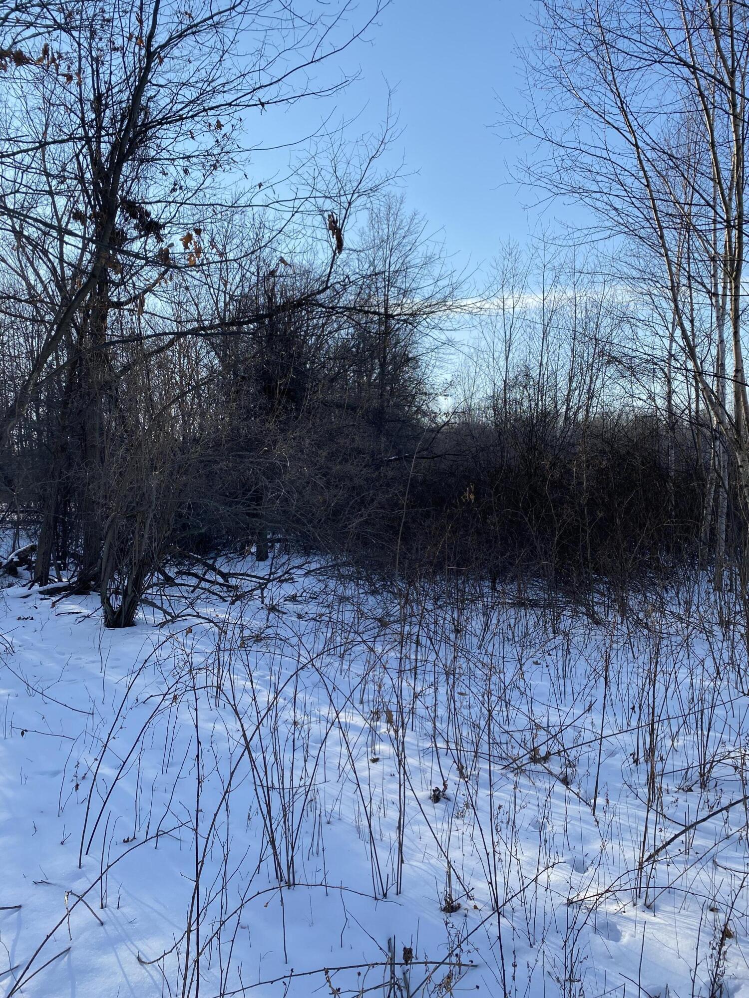 IMG_4865