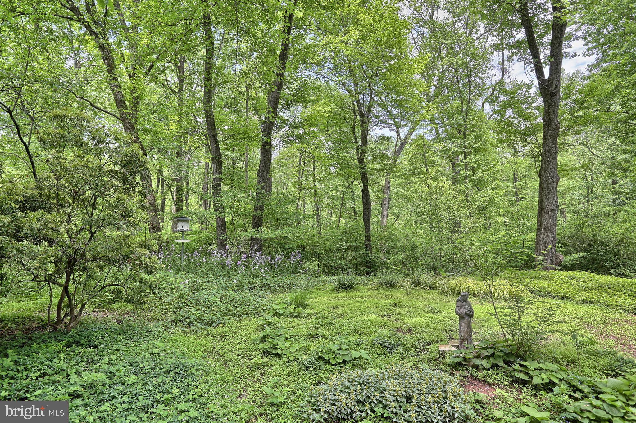 131 Valley Road Mount Gretna, PA 17064 - Photo 46 of 52 Rear yard looking toward Rail Trail