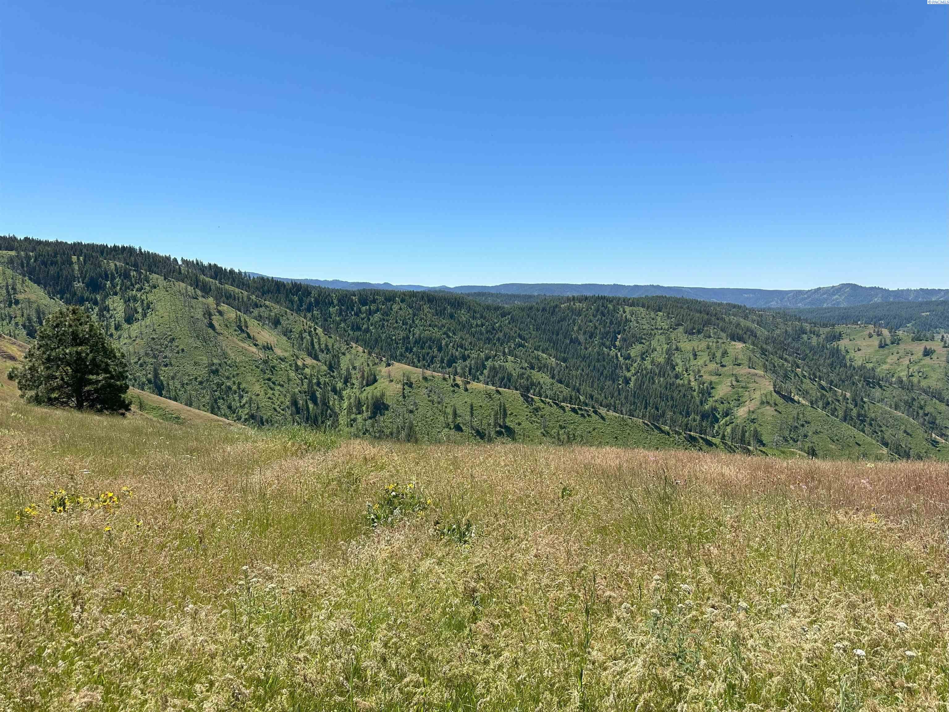 Unk10 Blacksnake Ridge Road Walla Walla, WA 99362 - Photo 45 of 48 Gallery Image 45