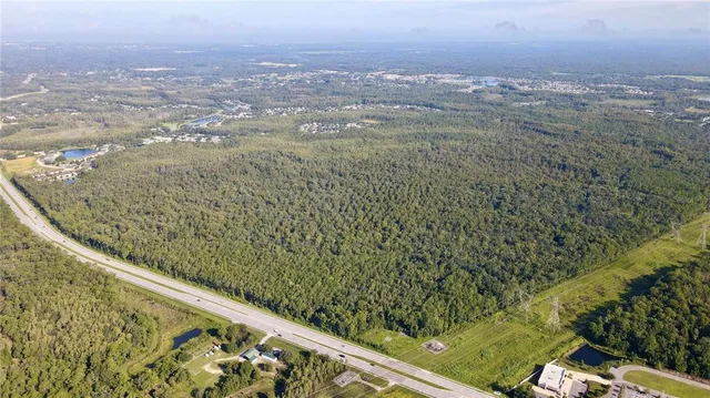 a view of a forest from a balcony