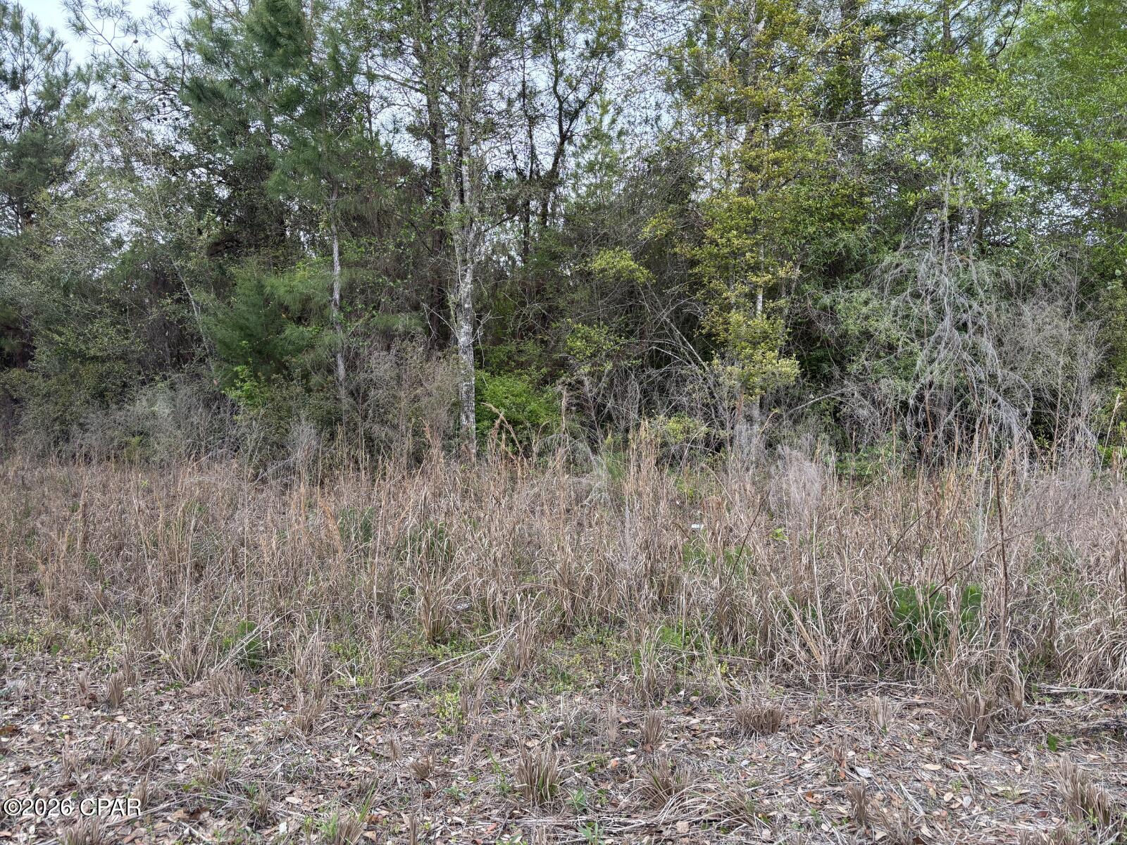 X Northwest Cook Road Clarksville, FL 32430 - Photo 3 of 3
