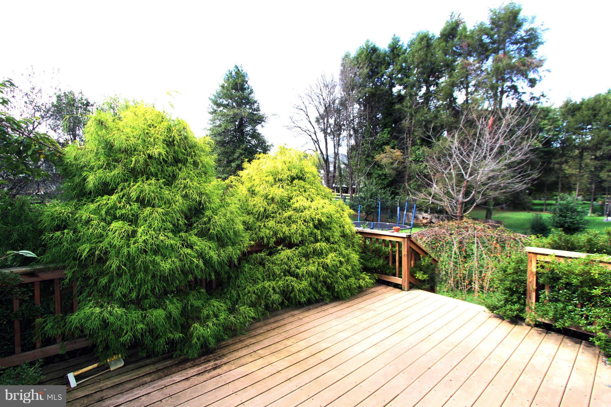 832 Walker Road Great Falls, VA 22066 - Photo 3 of 27 Deck 1