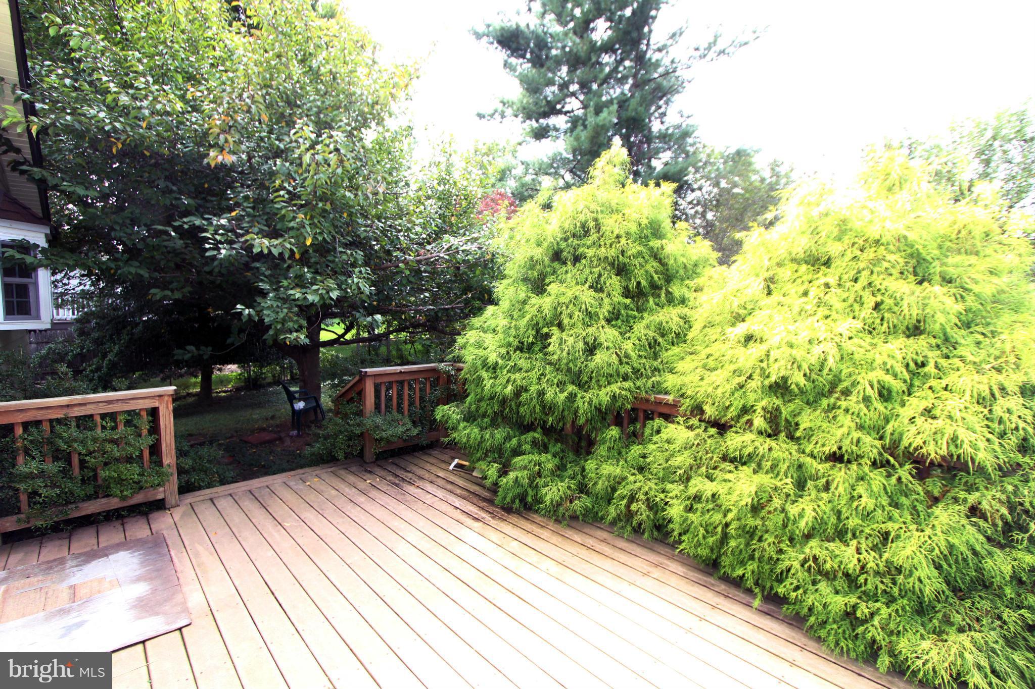 832 Walker Road Great Falls, VA 22066 - Photo 4 of 27 Deck 2