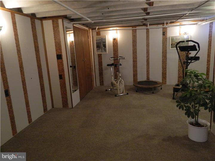 10 Krick Avenue Sinking Spring, PA 19608 - Photo 19 of 22 Basement - Finished