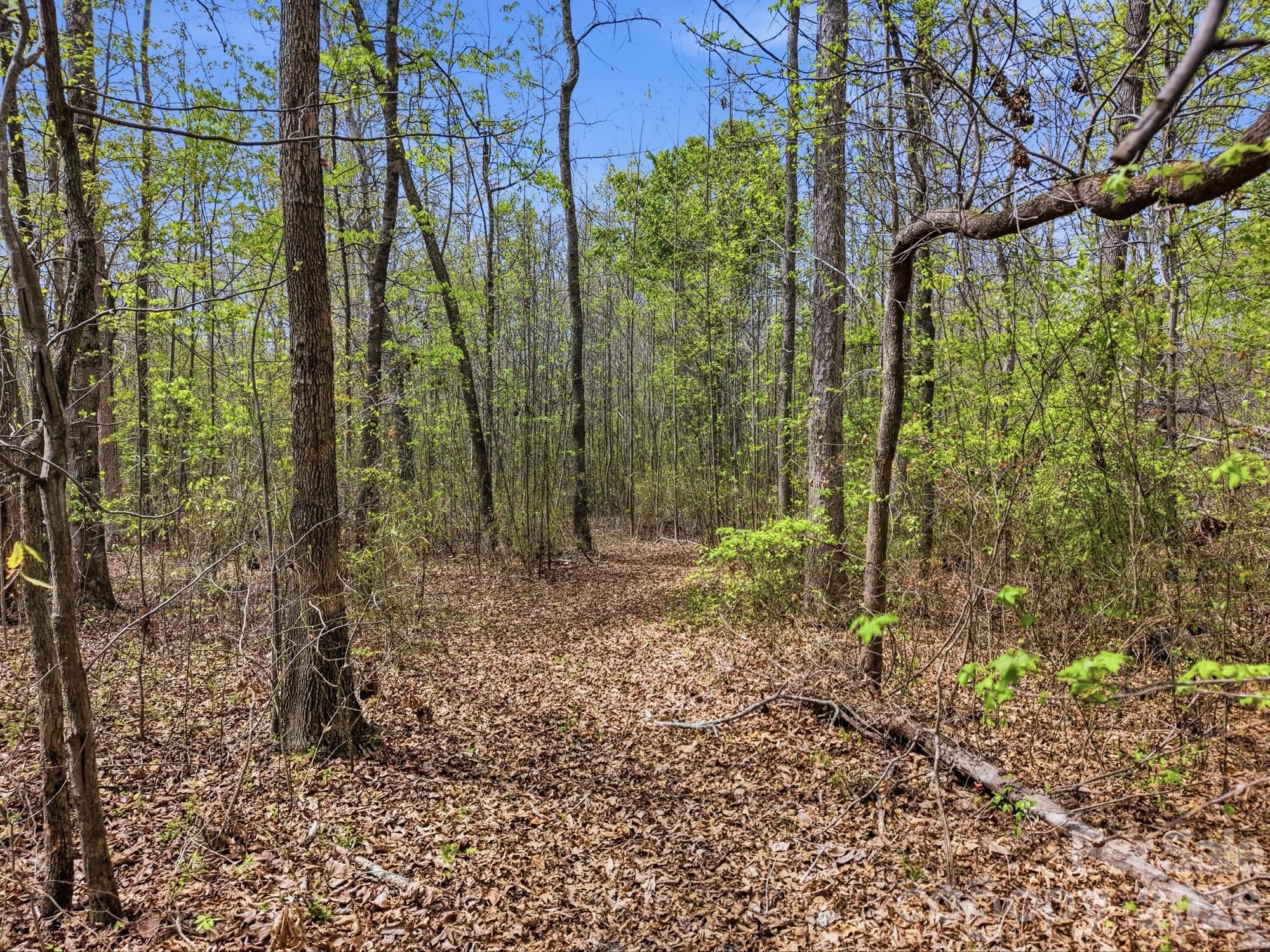0 County Line Road Kings Mountain, NC 28086 - Photo 11 of 12