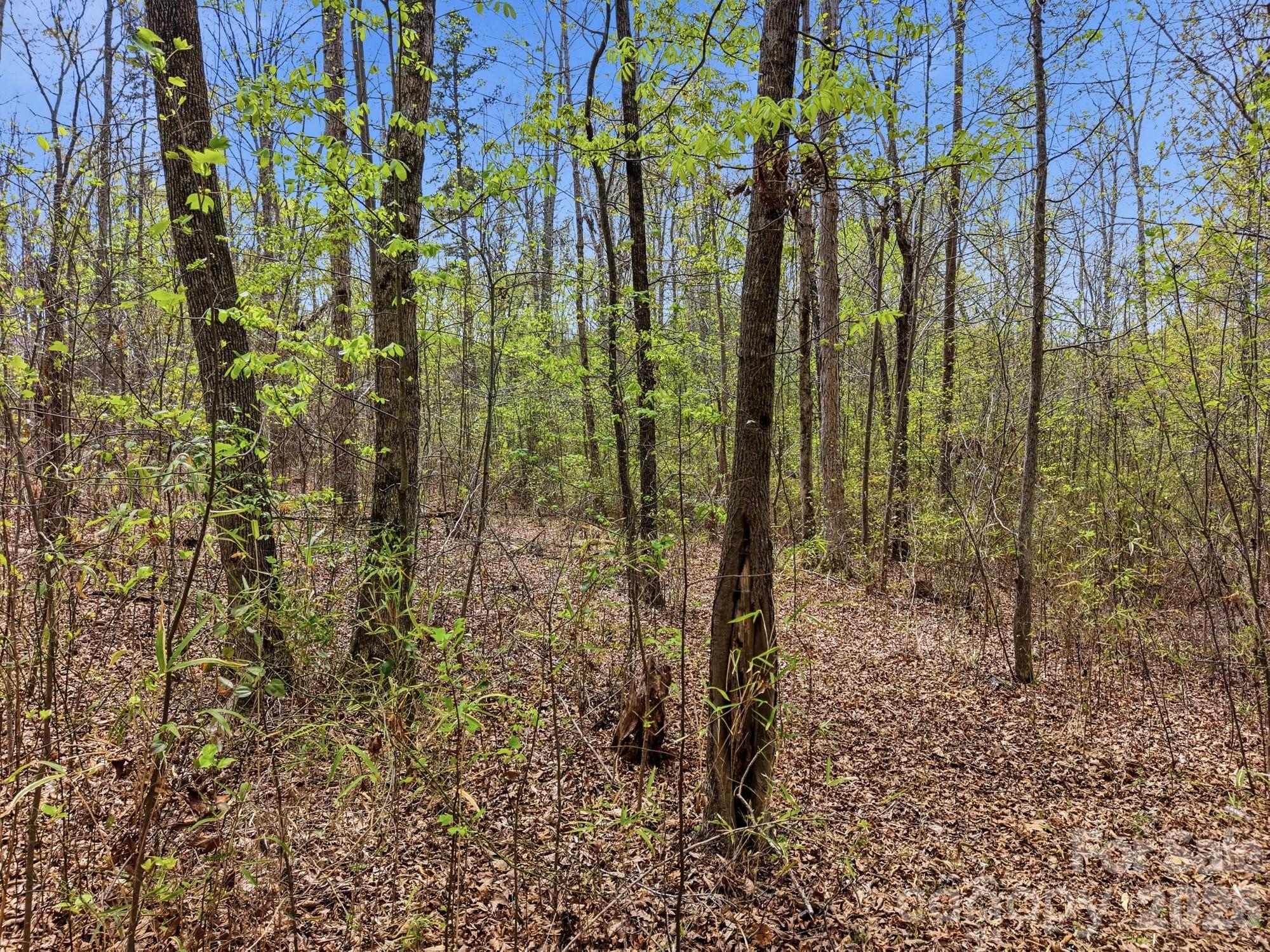 0 County Line Road Kings Mountain, NC 28086 - Photo 12 of 12
