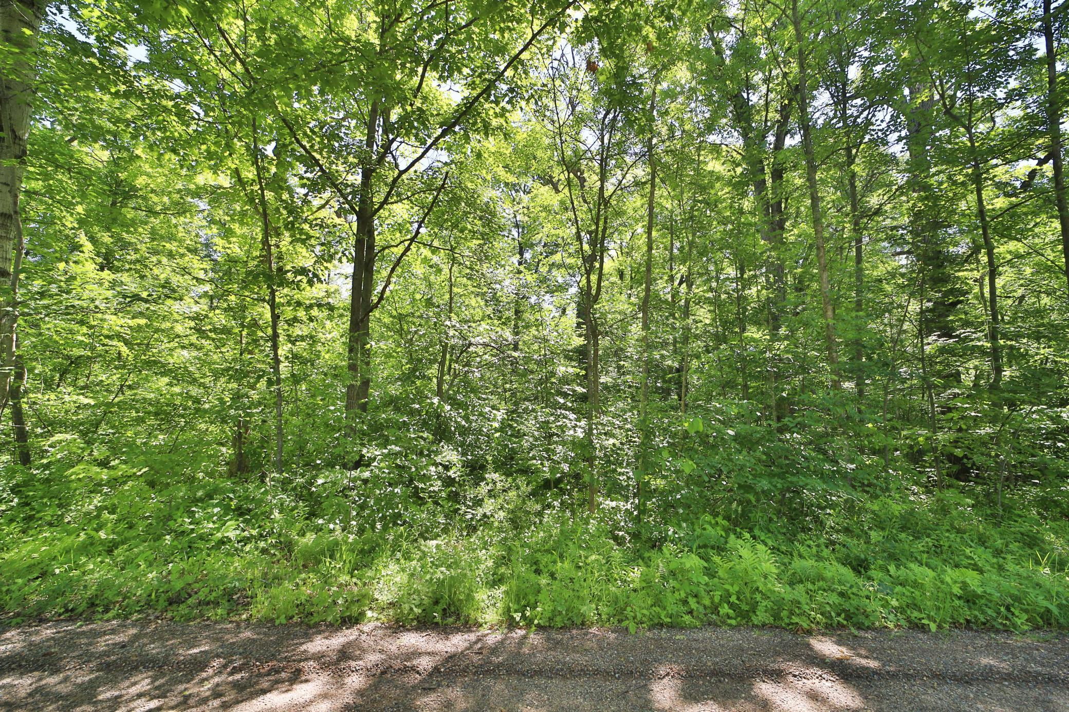 Tbd Meander Way Garrison, MN 56450 - Photo 4 of 4
