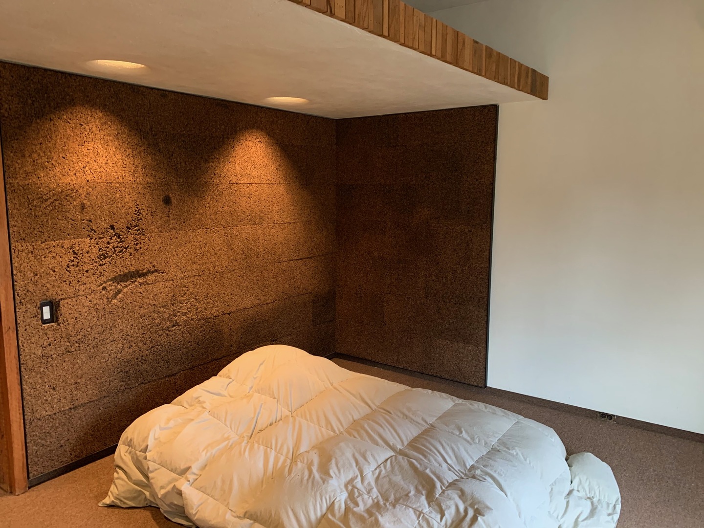 1900 West Addison Street, Unit 2E Chicago, IL 60613 - Photo 10 of 13