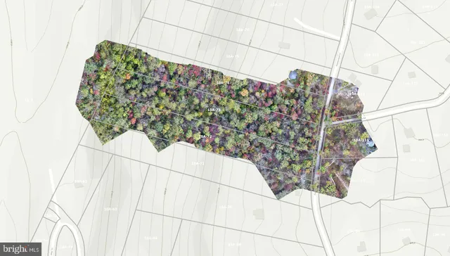 a aerial view of a yard