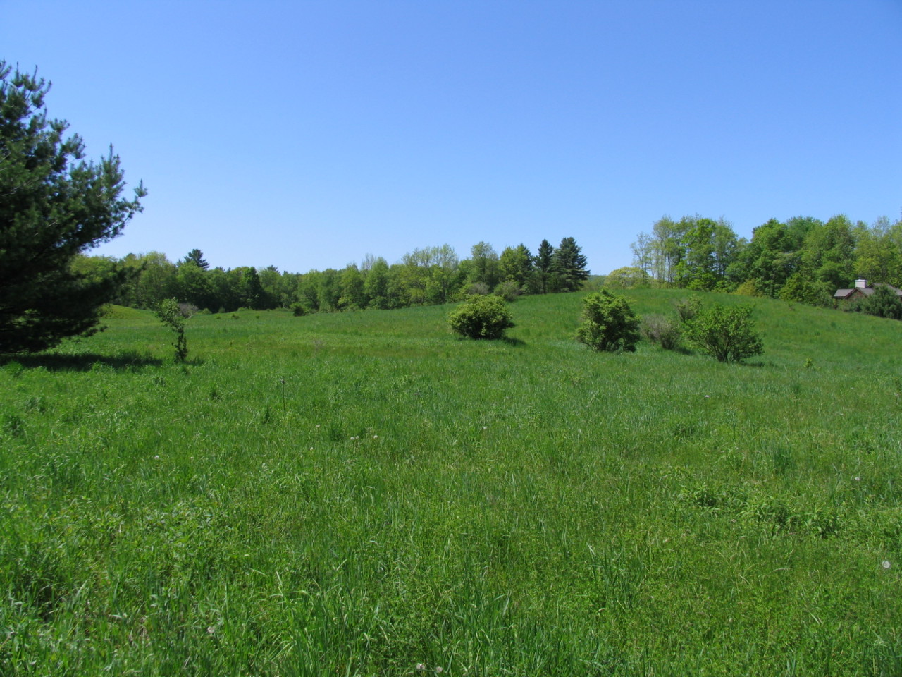 West Center Road West Stockbridge, MA 01266 - Photo 3 of 5 a view of a lush green space with sea