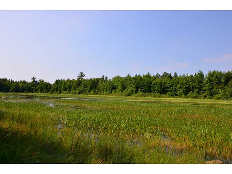 Off Burlington Beach Road Burlington, ME 04417 - Photo 16 of 34 Land/Lot.