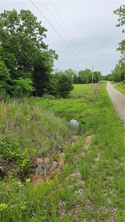 3517 Forbes Road Edwards, MO 65326 - Photo 3 of 6