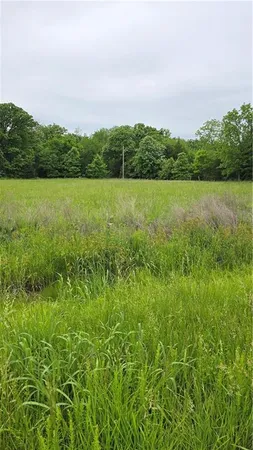 $27,500 | 3517 Forbes Road, Edwards, MO 65326