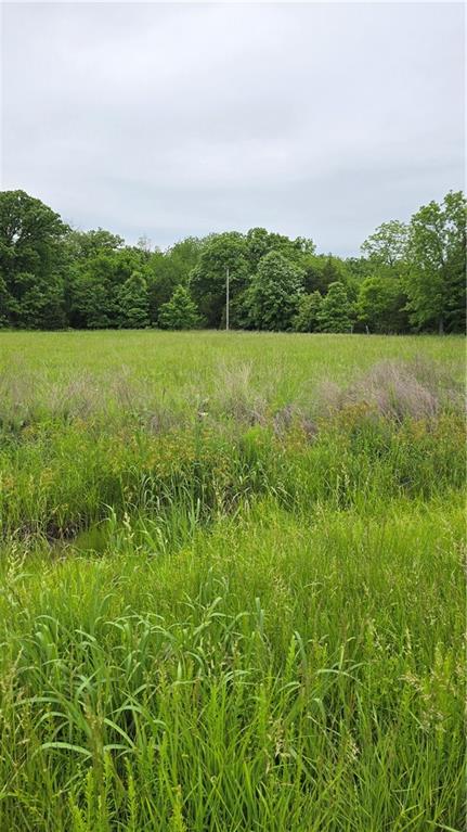 3517 Forbes Road Edwards, MO 65326 - Photo 4 of 6