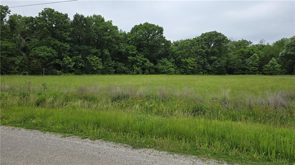 3517 Forbes Road Edwards, MO 65326 - Photo 6 of 6