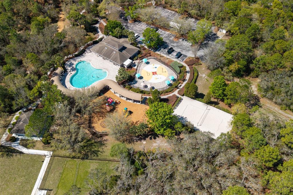 13454 Golden Lime Ave Spring Hill Spring Hill, FL 34609 - Photo 59 of 69