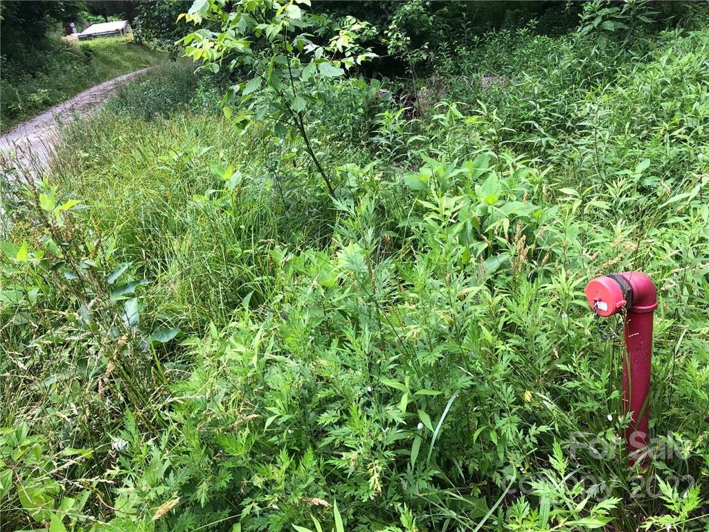 148 Oakley Freeman Road Marshall, NC 28753 - Photo 15 of 41