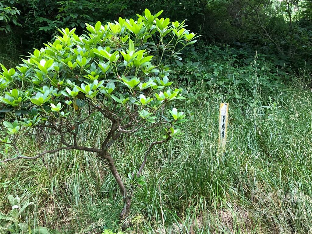 148 Oakley Freeman Road Marshall, NC 28753 - Photo 18 of 41