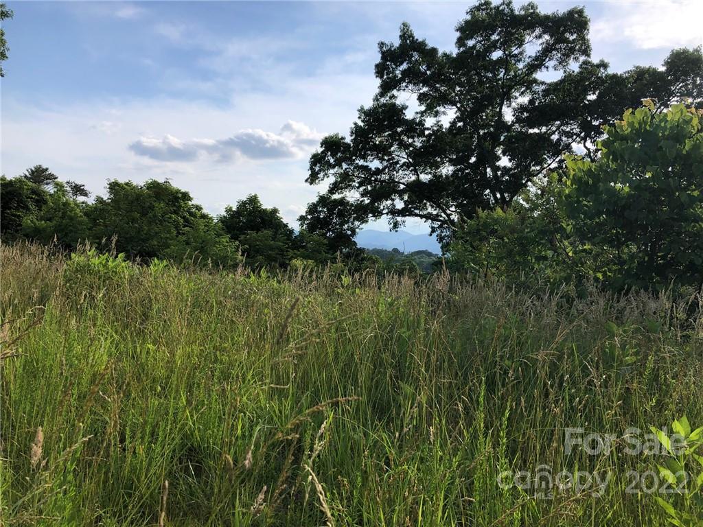 148 Oakley Freeman Road Marshall, NC 28753 - Photo 20 of 41