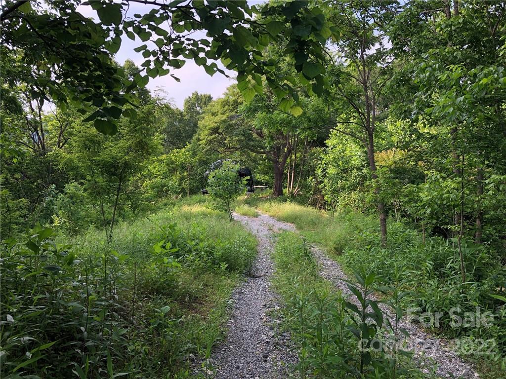 148 Oakley Freeman Road Marshall, NC 28753 - Photo 2 of 41