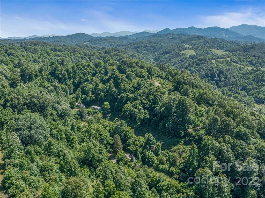 148 Oakley Freeman Road Marshall, NC 28753 - Photo 28 of 41